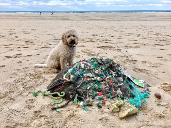 Teddy the dog with a beach haul of rope.