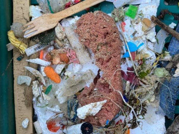 Container of rubbish picked up on the beach.