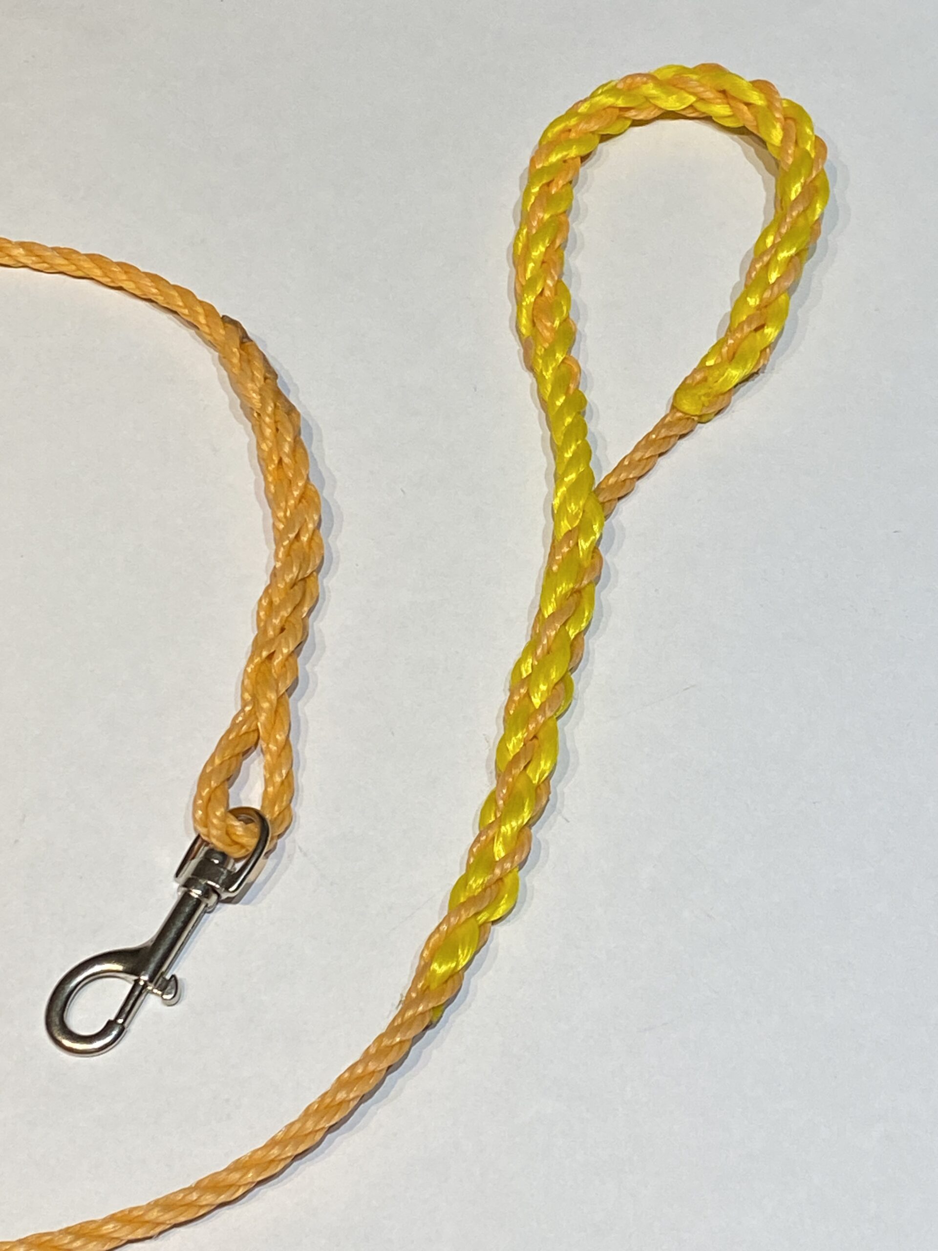 Salty Sea Dog ~ Sunshine yellow/Orange glow - Image 2